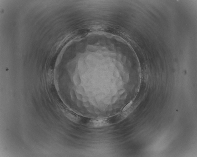 X0000075390093200609081241