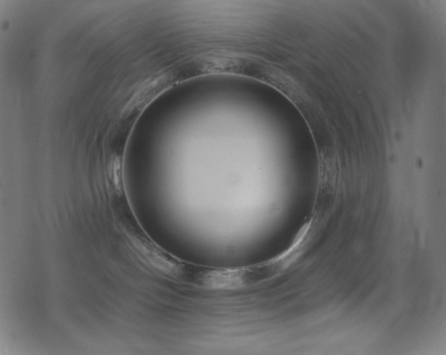 X0000075390094200609081241