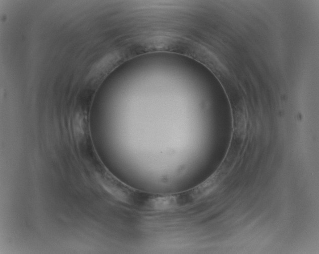 X0000075390126200609081240