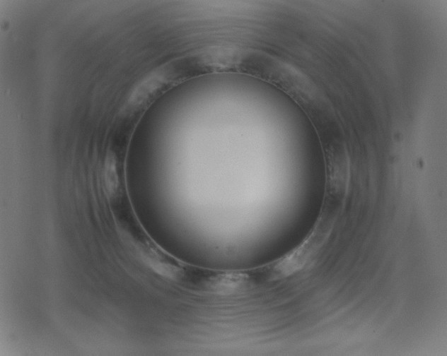 X0000075390128200609081239