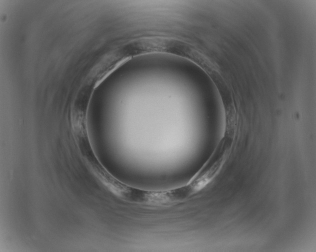 X0000075390141200609081239