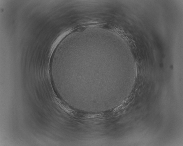 X0000075390147200609081238