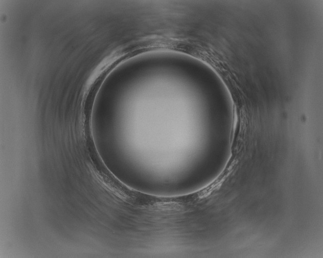 X0000075390150200609081239