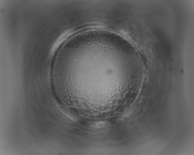 X0000075390151200609081239