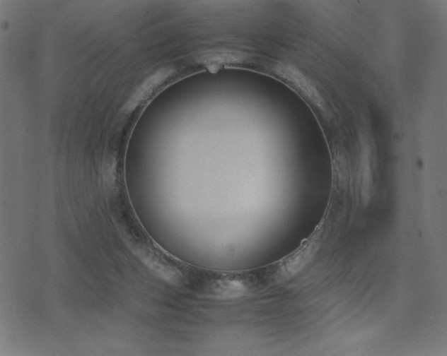 X0000075390159200609081239
