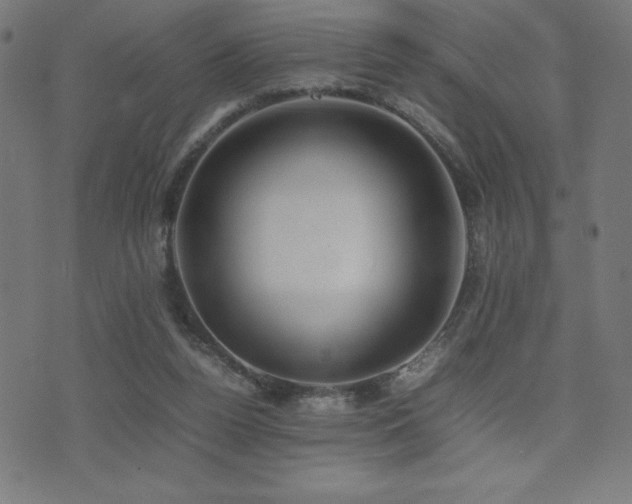 X0000075390160200609081239