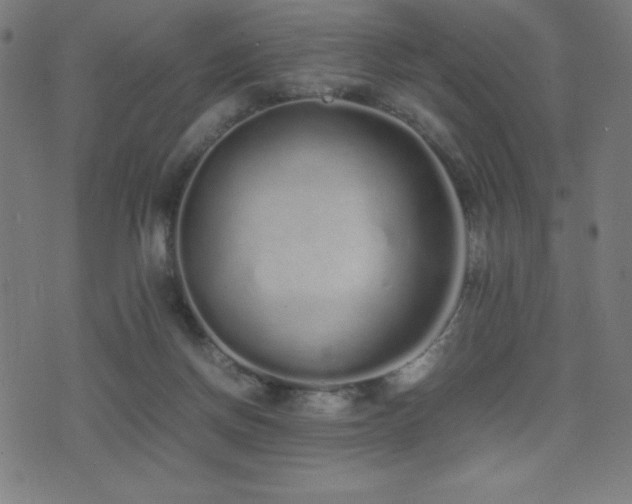 X0000075390166200609081239