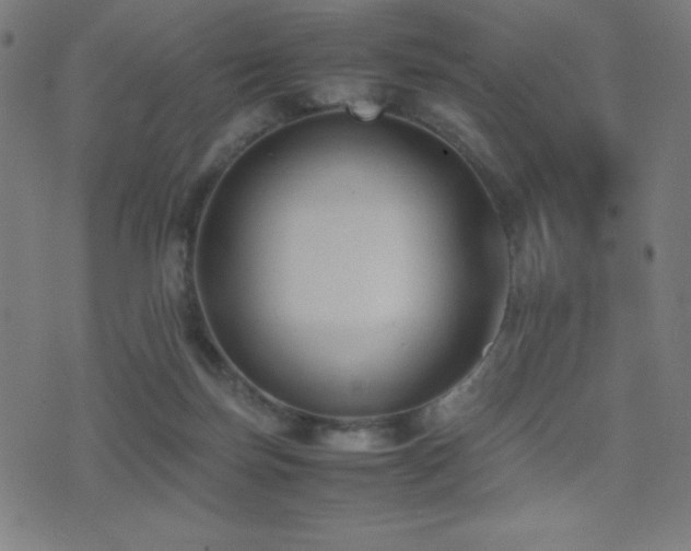 X0000075390171200609081239