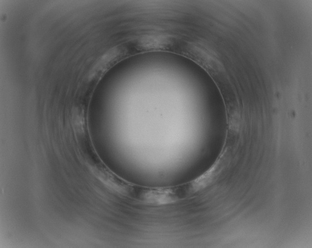 X0000075390179200609081239