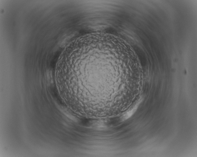 X0000075390182200609081239