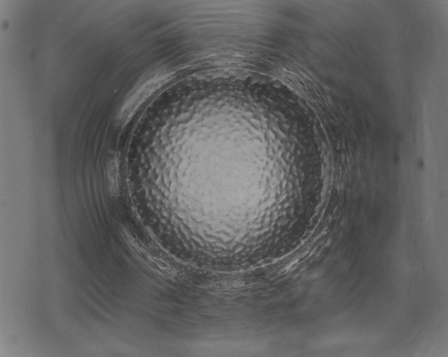 X0000075390194200609081238