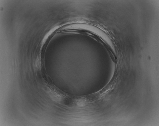 X0000075390200200609081238