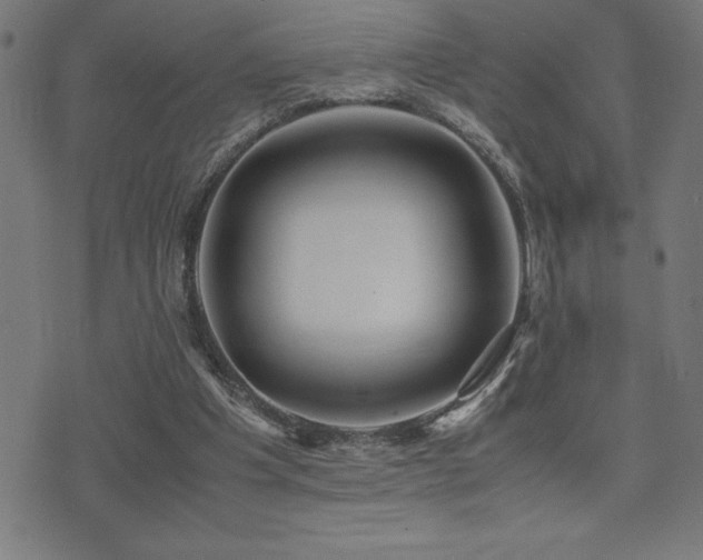 X0000075390201200609081238