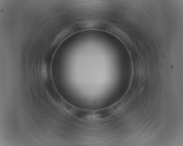 X0000075390216200609081238