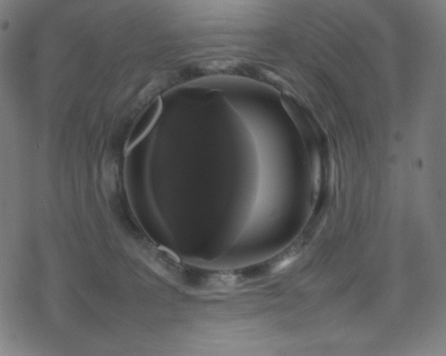 X0000075390227200609081238