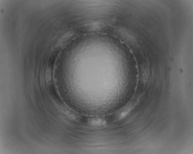 X0000075390230200609081238