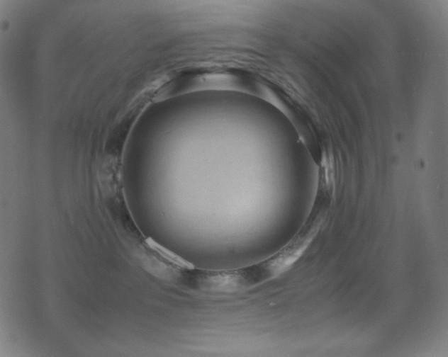 X0000075390237200609081238