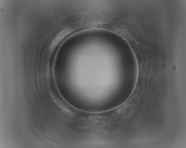 X0000075390242200609081237