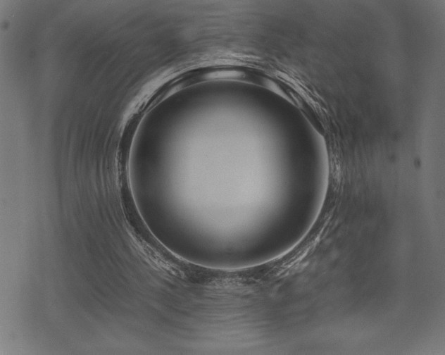 X0000075390244200609081237