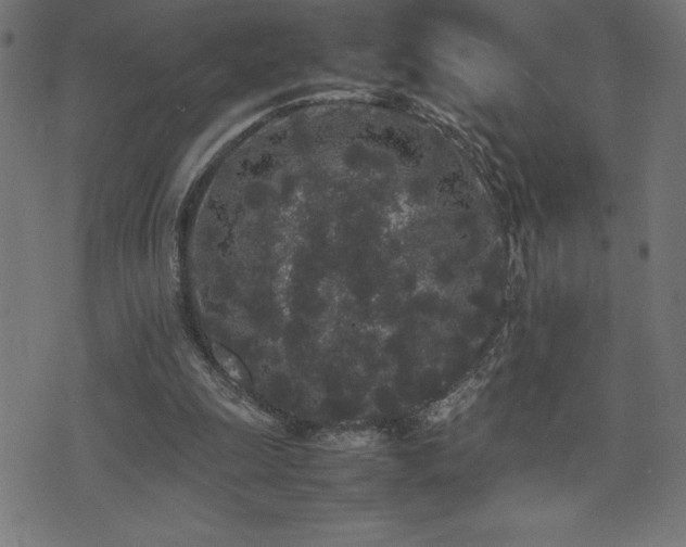 X0000075390247200609081237