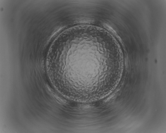 X0000075390249200609081237