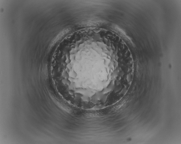 X0000075390250200609081237