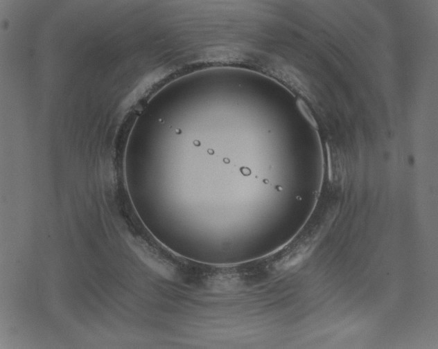 X0000075390252200609081237