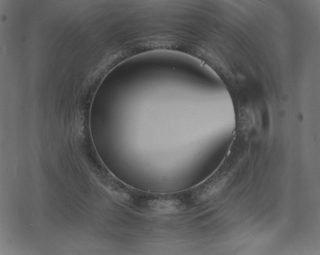 X0000075390255200609081237