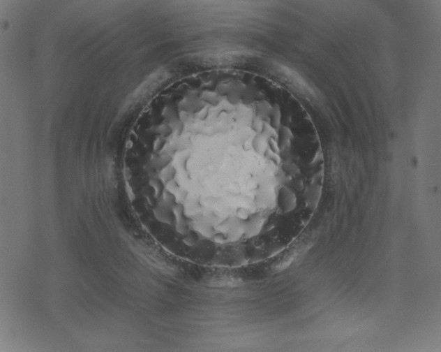 X0000075390258200609081237