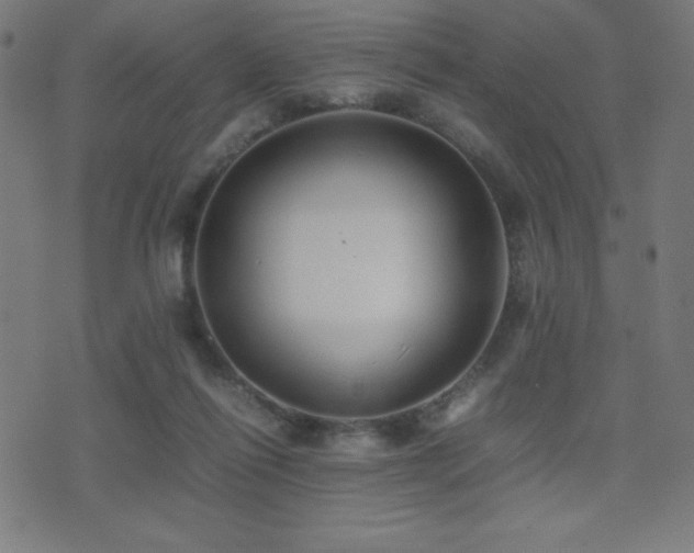 X0000075390262200609081237