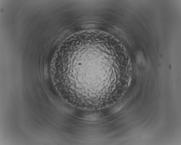 X0000075390267200609081237