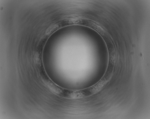 X0000075390270200609081237