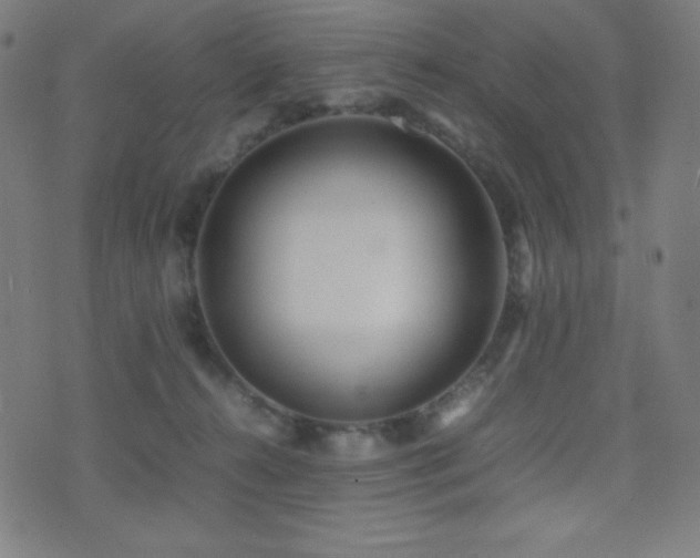 X0000075390272200609081237