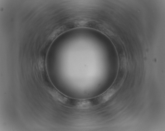 X0000075390274200609081237