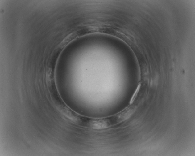 X0000075390275200609081237