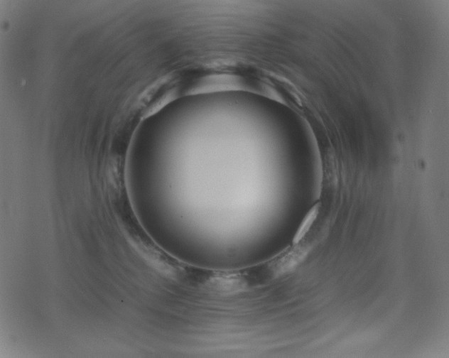 X0000075390280200609081238