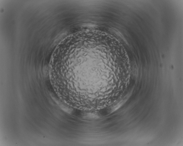 X0000075390285200609081238