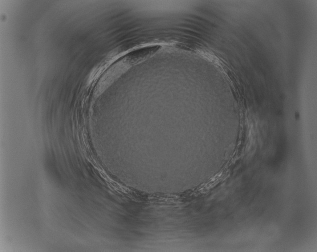 X0000075390337200609081235