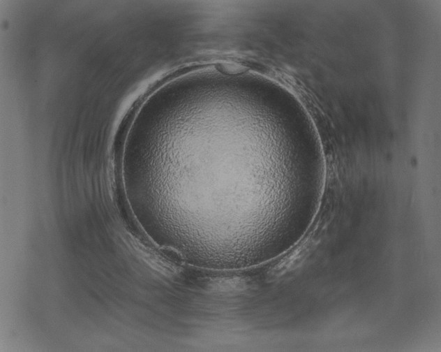 X0000075390342200609081235