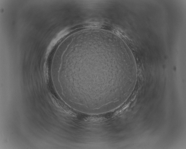 X0000075390343200609081235