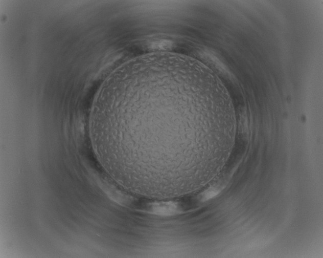 X0000075390363200609081236