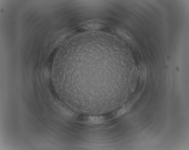 X0000075390371200609081236