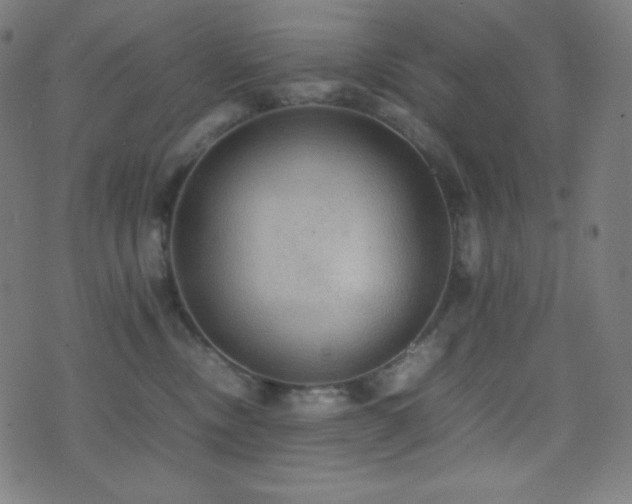 X0000075390378200609081236