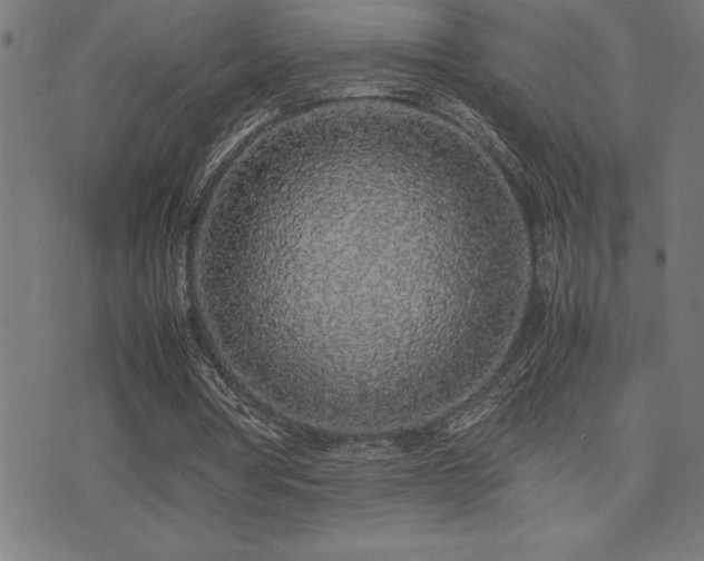 X0000075390386200609081235