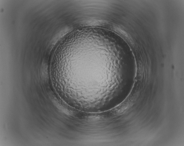 X0000075390394200609081235