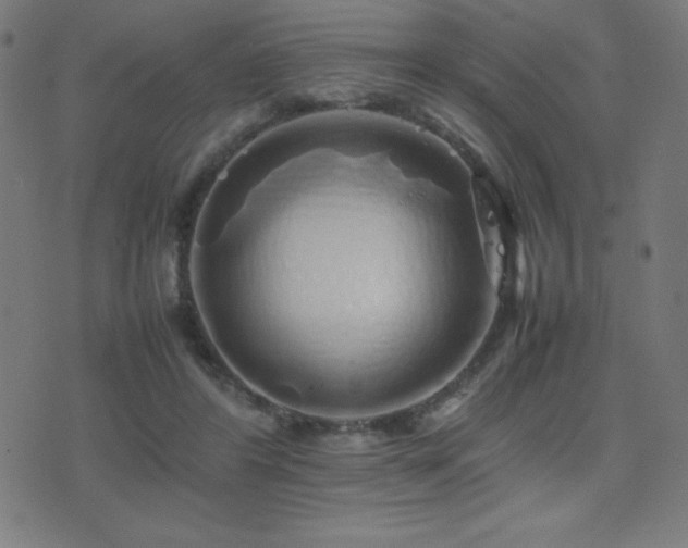 X0000075390404200609081235