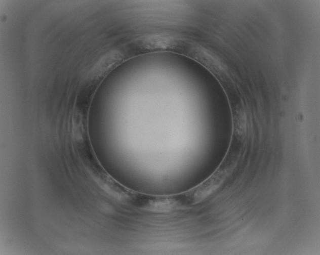 X0000075390414200609081235