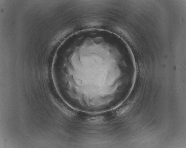 X0000075390447200609081234