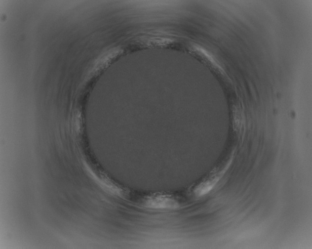 X0000075390451200609081234