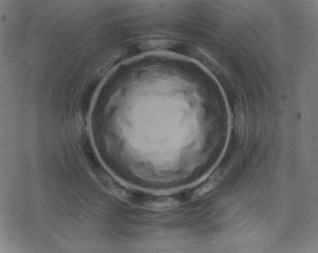 X0000075390459200609081234